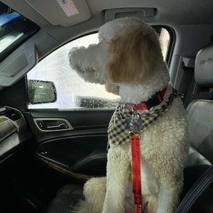 Meet your Posher, Alejandro